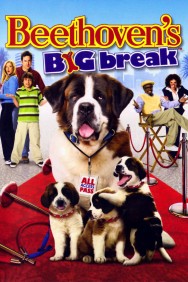 Beethoven's Big Break Beethoven's Big Break