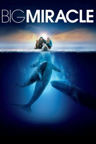 Big Miracle Big Miracle