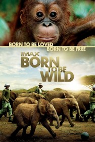 Born to Be Wild Born to Be Wild