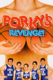 Porky's 3: Revenge