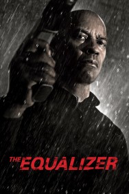 The Equalizer The Equalizer