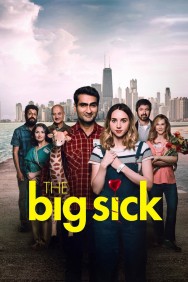 The Big Sick The Big Sick