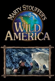 Wild America Wild America