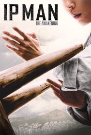 Ip Man: The Awakening Ip Man: The Awakening
