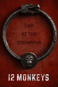 12 Monkeys 12 Monkeys