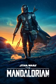 The Mandalorian The Mandalorian