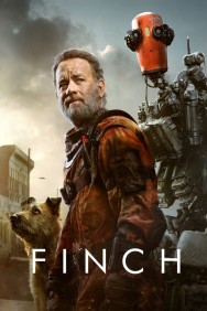 Finch Finch