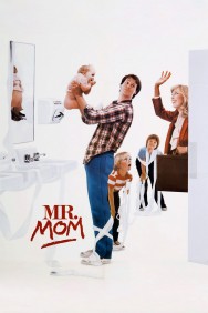 Mr. Mom Mr. Mom