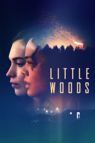 Little Woods Little Woods