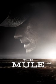 The Mule The Mule