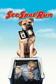 See Spot Run See Spot Run