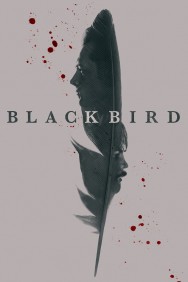 Black Bird Black Bird