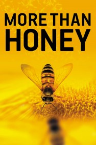 More Than Honey More Than Honey