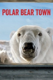 Polar Bear Town Polar Bear Town