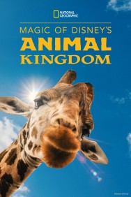 Magic of Disney's Animal Kingdom Magic of Disney's Animal Kingdom