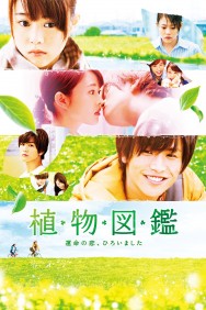 Evergreen Love Evergreen Love