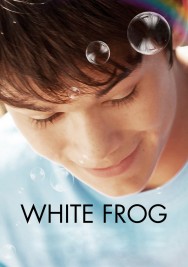 White Frog White Frog